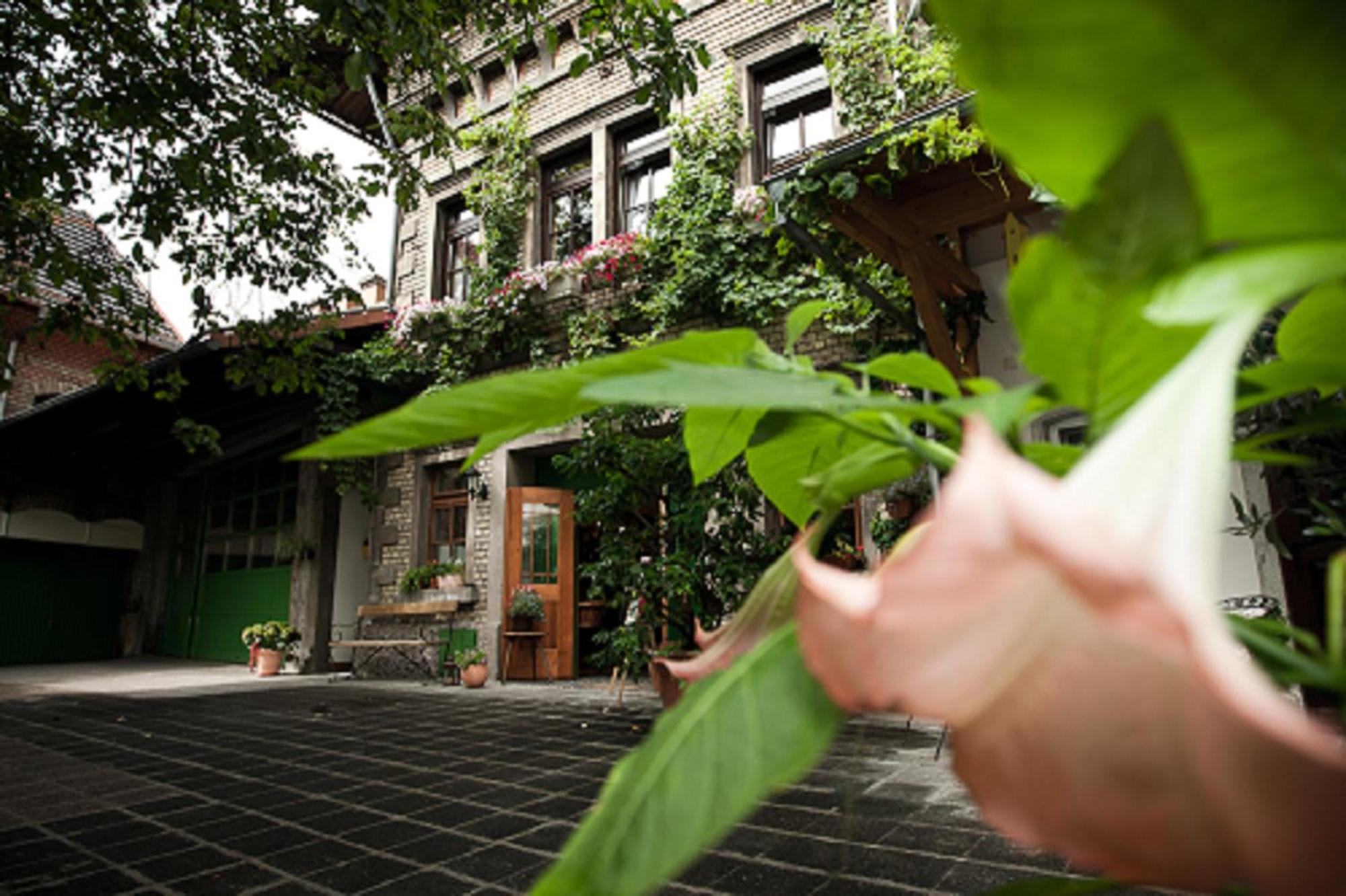 Gaestehaus Guntersblum المظهر الخارجي الصورة