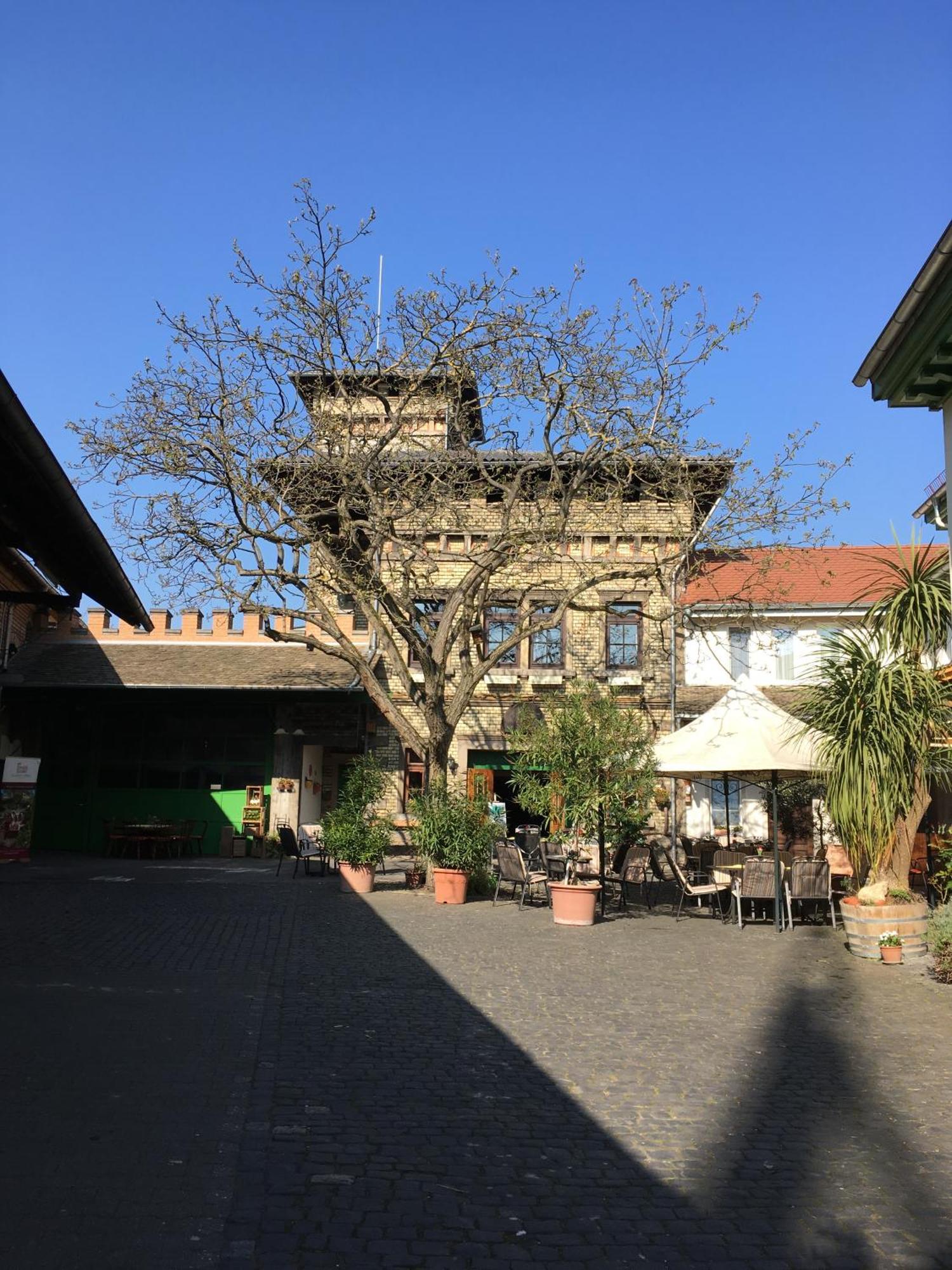 Gaestehaus Guntersblum المظهر الخارجي الصورة